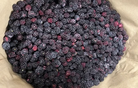 Продам ожину дикорослу