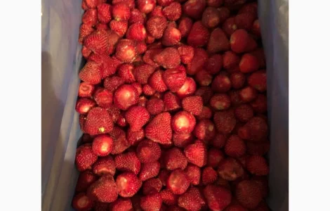 Куплю клубнику замороженную