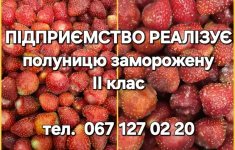 Полуниця (клубніка, суниця) заморожена