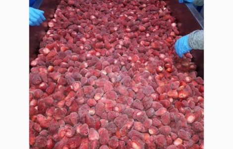 Полуниця Єгипет заморозка