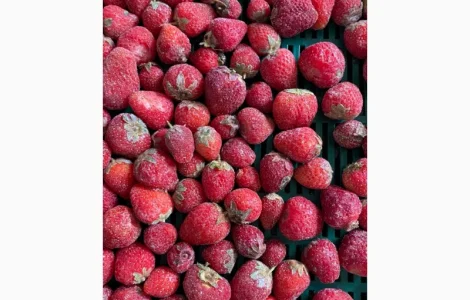 Продам полуницю з хвостиком заморожену