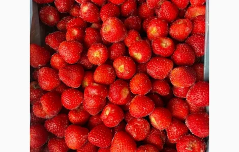 Заморожена полуниця