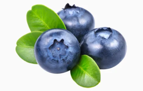 Лохина заморожена – закупівля ягоди