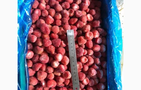Реалізуємо заморожену полуницю оптом від 20т