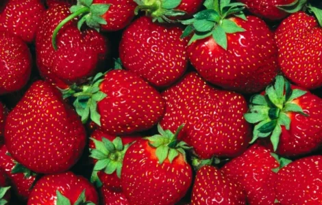 Купим клубнику в по Украине