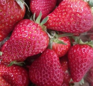 Купуємо свіжу полуницю