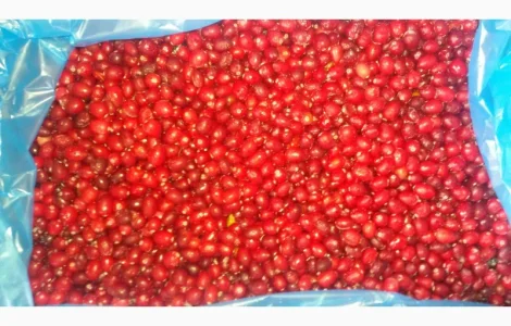 Клюква Журавлина очищенная замороженная