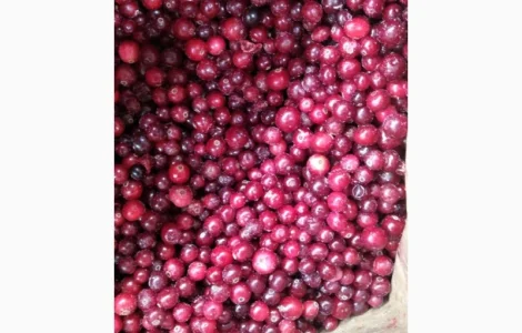 Продам журавлину морожену Б-класу