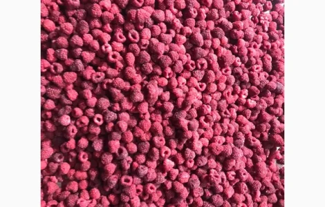 Куплю малину