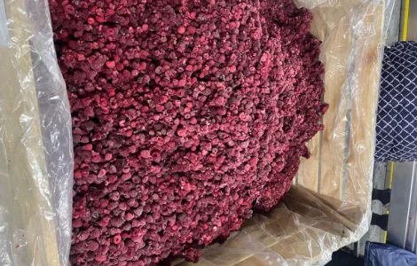 Продам малину, гриз малини