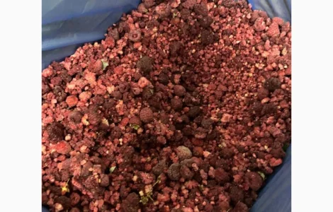 Куплю малину грис