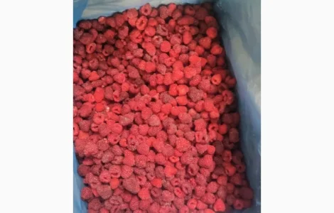 Куплю малину заморожену 80/20 і 90/10