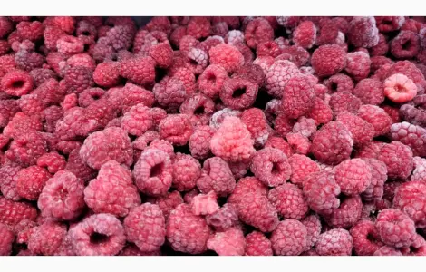 Продам малину заморожену 80/20