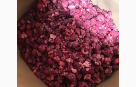 Продам заморожену малину грис оптом від 10 тонн