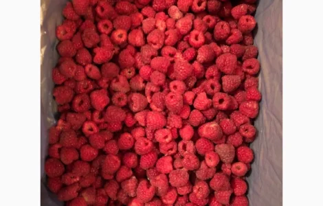 Закупаем малину замороженную