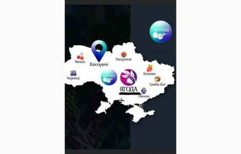 Куплю малину