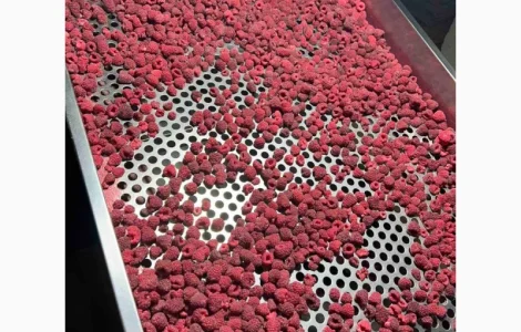 Куплю. Малина.заморожена 80/20, 90/10, грис