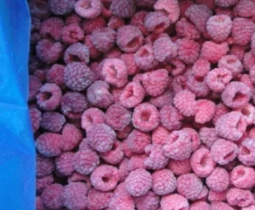 Продам малину заморожену. Від 20 тонн