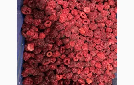Продается замороженная малина в гофроящике