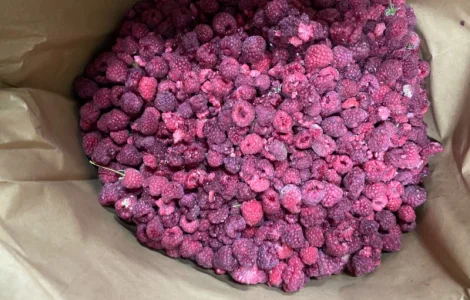 Заморожена малина грис