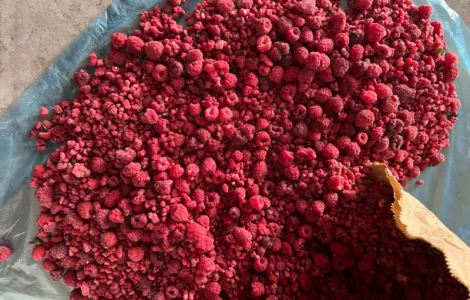 Продам грис малини