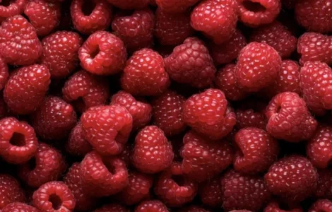 Куплю Малину( Свіжу/Заморожену)