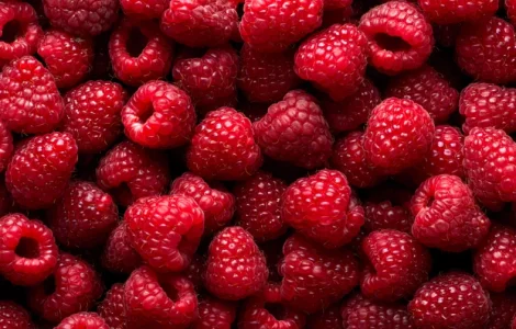 Продам свіжу малину