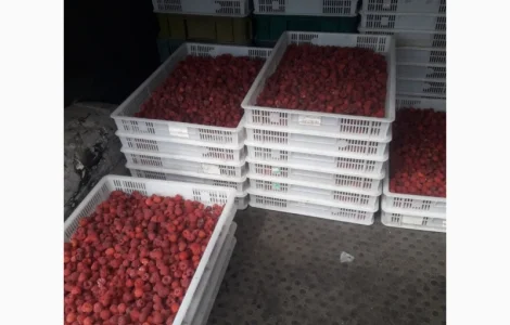 Купим малину для заморозки від фермерів