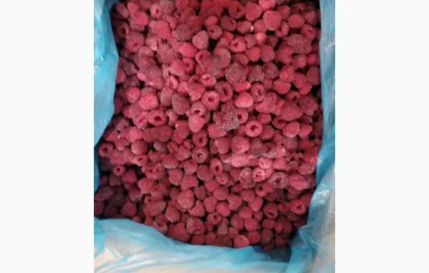 Купимо в об'ємі малину, дорого, в (на переробку та заморозку)