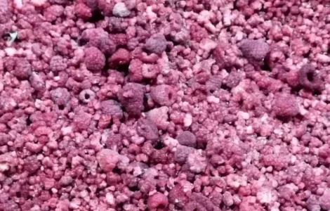 Грис малини