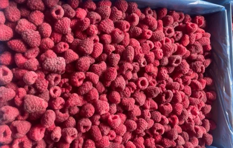 Малина заморожена 80/20