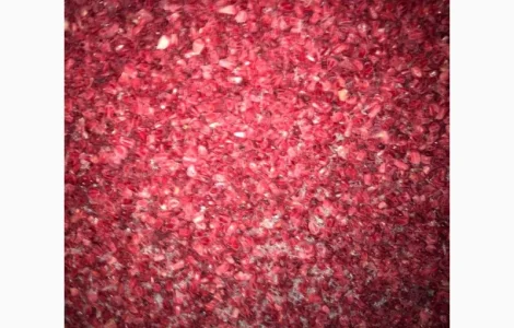 Купуємо малину грис до 200 тонн