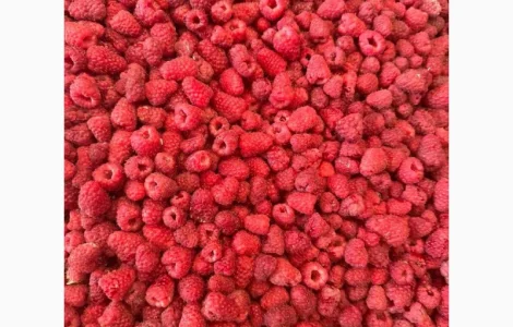 Куплю малину