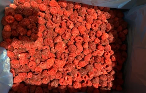 Продам малину оригінал, 80/20 та гриз