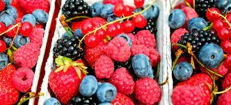 Продам заморожені ягоди оптом (малина, бузина, чорниця)