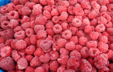 Продам замороженную малину оптом