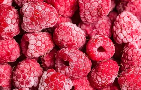 Виконаємо контракт на постачання заморожених ягід та грибів