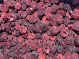 Продам заморожену малину від 5 тон оптом