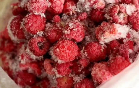 Купимо від 20 тон заморожену малину по всій Україні