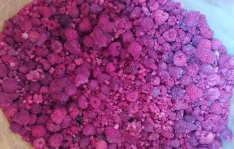 Продам грис малини