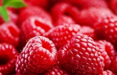 Куплю малину, оптом! Будь-який обсяг