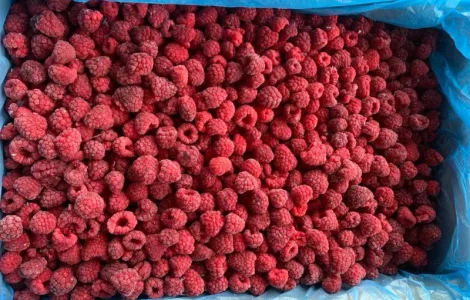 Куплю заморожену малину від 20 тонн