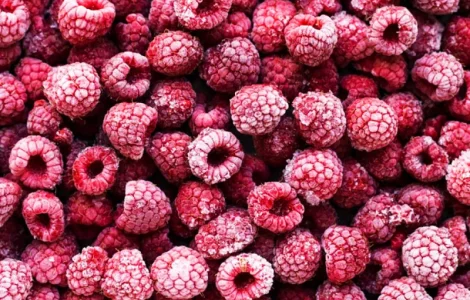 Закуповуємо заморожені ягоди