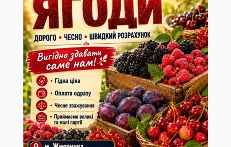 Закупляємо ОПТОМ свіжу ягоду малини на постійній основі