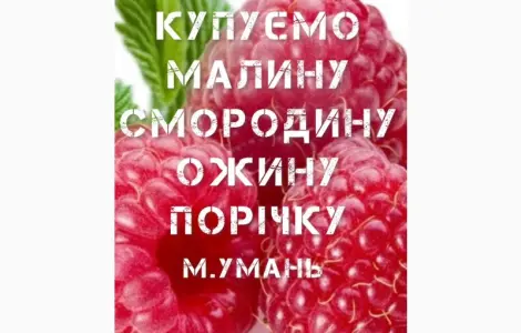 Купимо Малину