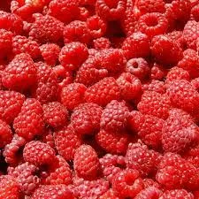 Куплю заморожену малину 80/20, 90/10 та гриз оптом