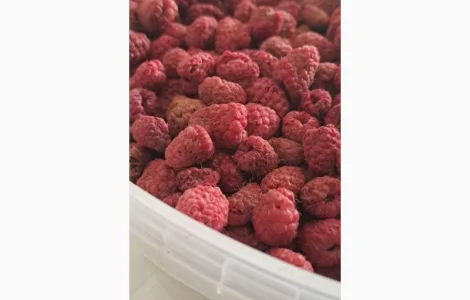 Продам малину сушену