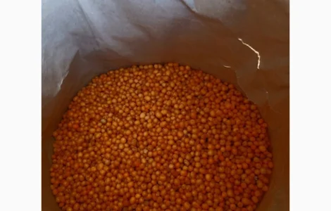 Обліпиха заморожена Б - клас