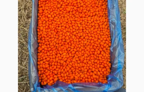 Продам облепиху высшего сорта замороженную (Китай)