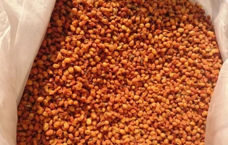 Куплю сушеную облепиху